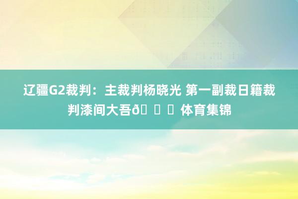 辽疆G2裁判：主裁判杨晓光 第一副裁日籍裁判漆间大吾👀体育集锦