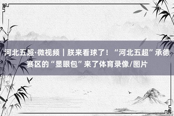 河北五超·微视频｜朕来看球了！“河北五超”承德赛区的“显眼包”来了体育录像/图片
