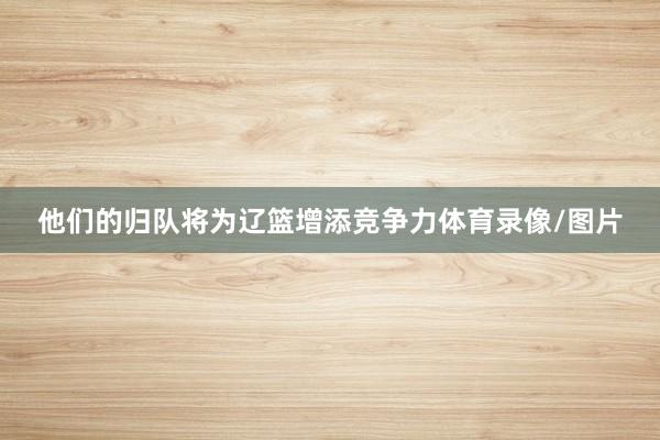 他们的归队将为辽篮增添竞争力体育录像/图片