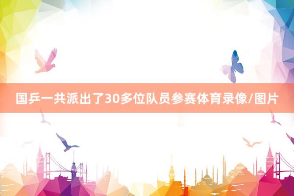 国乒一共派出了30多位队员参赛体育录像/图片