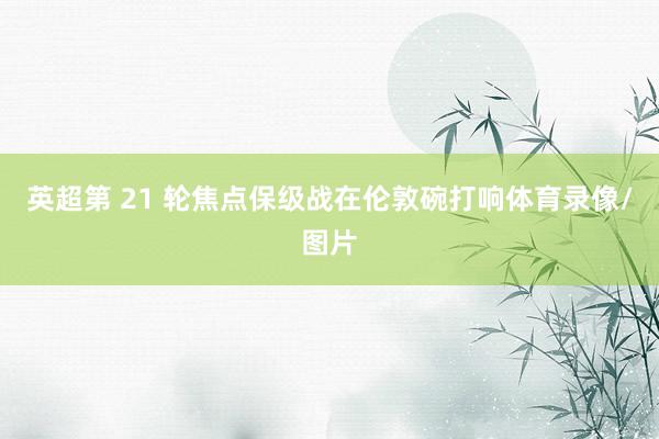 英超第 21 轮焦点保级战在伦敦碗打响体育录像/图片