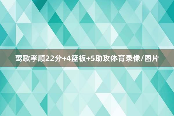 莺歌孝顺22分+4篮板+5助攻体育录像/图片