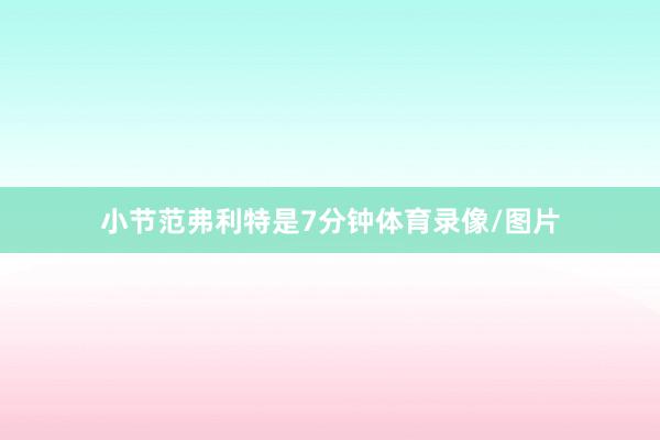 小节范弗利特是7分钟体育录像/图片