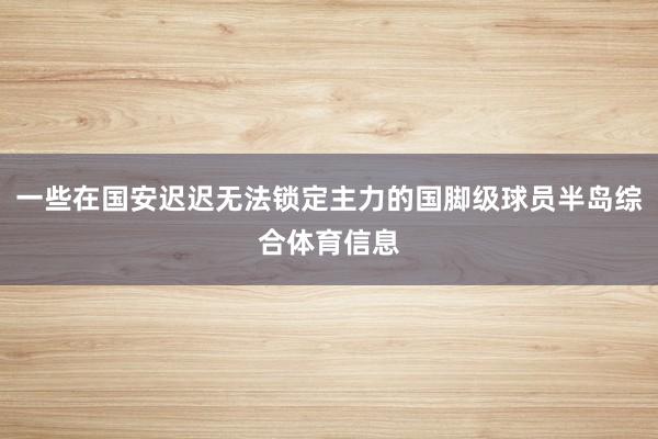 一些在国安迟迟无法锁定主力的国脚级球员半岛综合体育信息