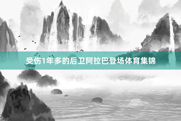 受伤1年多的后卫阿拉巴登场体育集锦