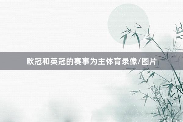 欧冠和英冠的赛事为主体育录像/图片