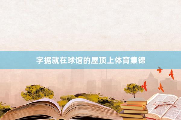 字据就在球馆的屋顶上体育集锦