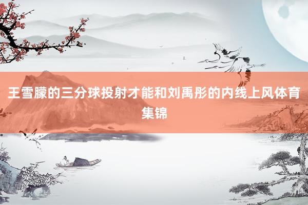 王雪朦的三分球投射才能和刘禹彤的内线上风体育集锦