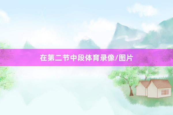 在第二节中段体育录像/图片