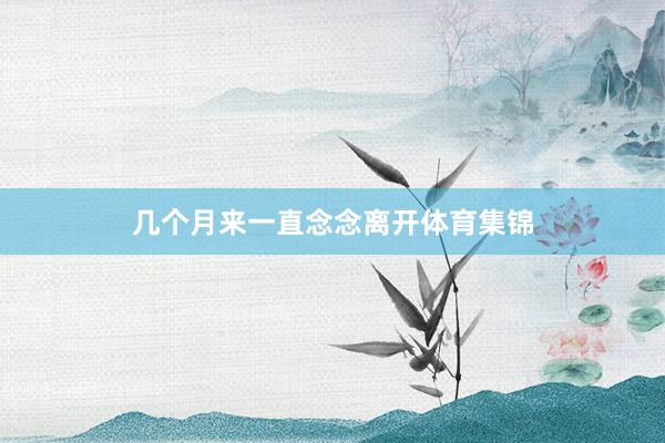几个月来一直念念离开体育集锦