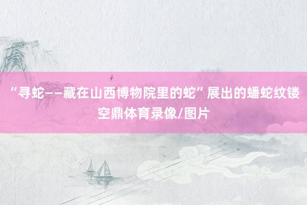 “寻蛇——藏在山西博物院里的蛇”展出的蟠蛇纹镂空鼎体育录像/图片