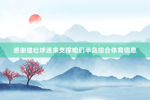 感谢雄壮球迷来支撑咱们半岛综合体育信息