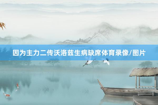 因为主力二传沃洛兹生病缺席体育录像/图片