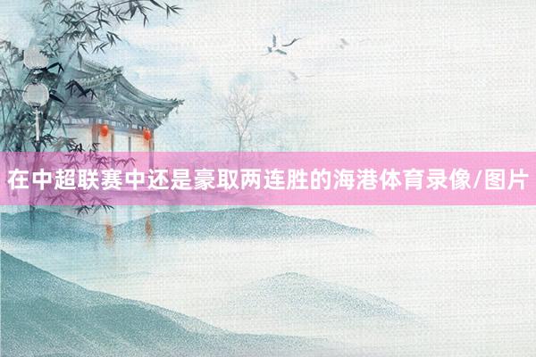 在中超联赛中还是豪取两连胜的海港体育录像/图片