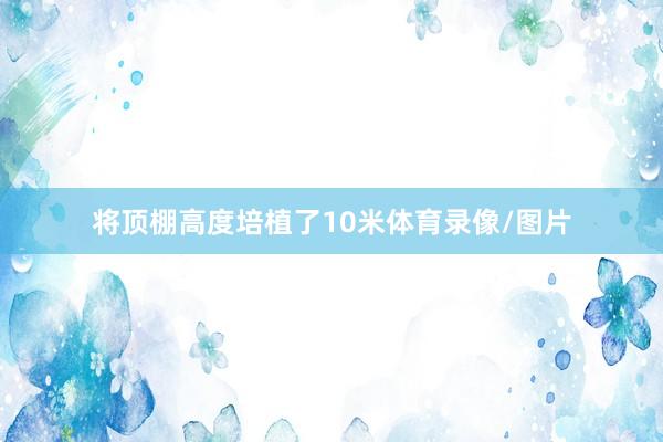 将顶棚高度培植了10米体育录像/图片
