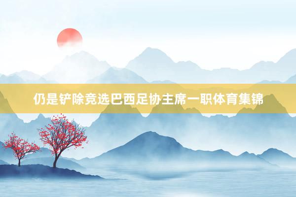 仍是铲除竞选巴西足协主席一职体育集锦