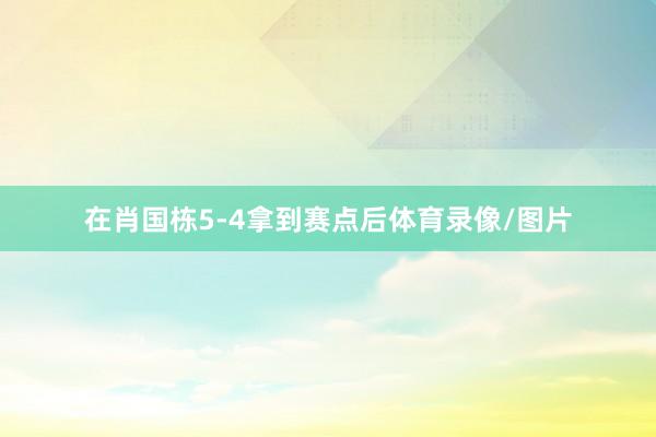 在肖国栋5-4拿到赛点后体育录像/图片