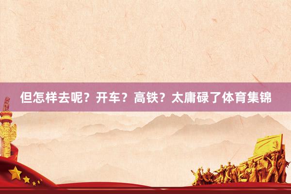 但怎样去呢？开车？高铁？太庸碌了体育集锦