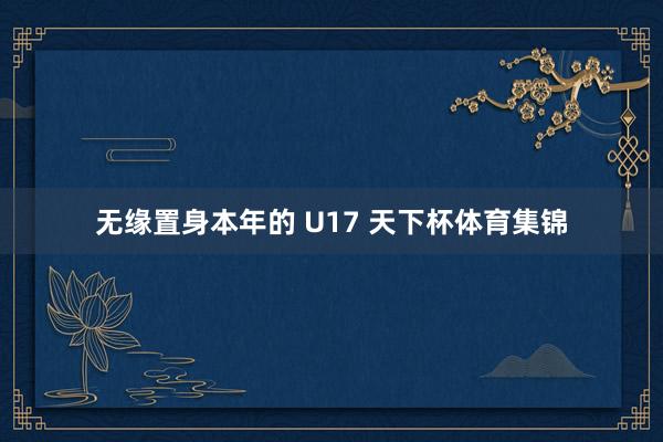 无缘置身本年的 U17 天下杯体育集锦