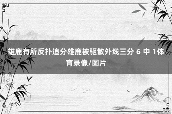 雄鹿有所反扑追分雄鹿被驱散外线三分 6 中 1体育录像/图片