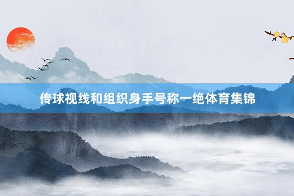 传球视线和组织身手号称一绝体育集锦