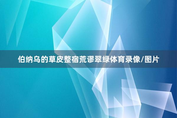 伯纳乌的草皮整宿荒谬翠绿体育录像/图片