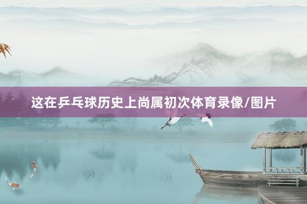 这在乒乓球历史上尚属初次体育录像/图片