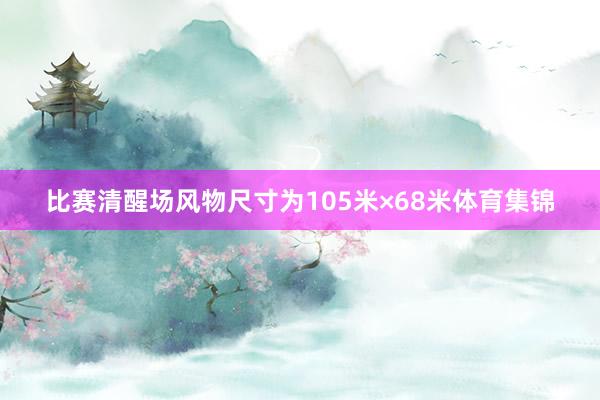 比赛清醒场风物尺寸为105米×68米体育集锦