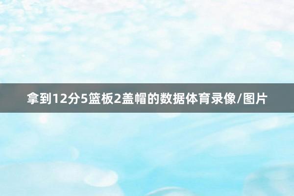 拿到12分5篮板2盖帽的数据体育录像/图片