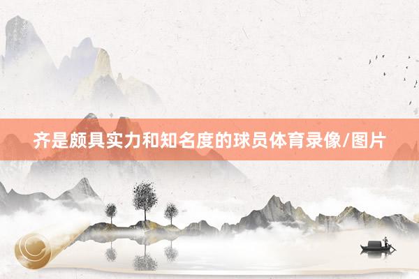 齐是颇具实力和知名度的球员体育录像/图片
