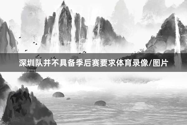 深圳队并不具备季后赛要求体育录像/图片