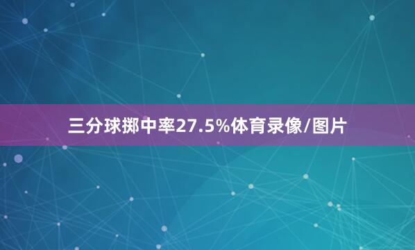 三分球掷中率27.5%体育录像/图片