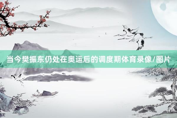 当今樊振东仍处在奥运后的调度期体育录像/图片