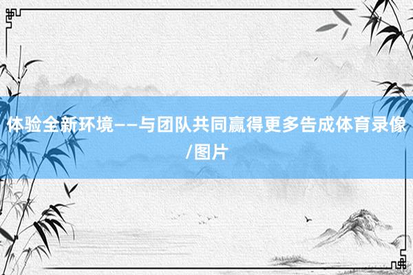 体验全新环境——与团队共同赢得更多告成体育录像/图片