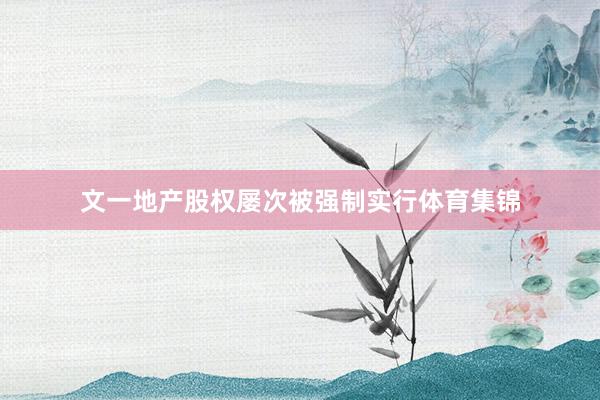 文一地产股权屡次被强制实行体育集锦