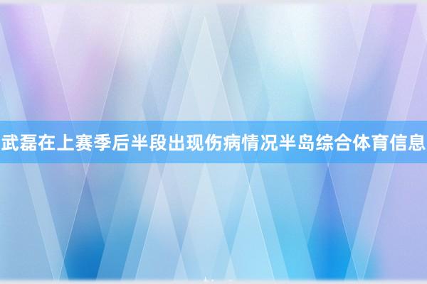 武磊在上赛季后半段出现伤病情况半岛综合体育信息