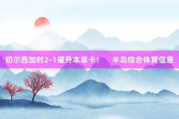 切尔西加时2-1擢升本菲卡！    半岛综合体育信息