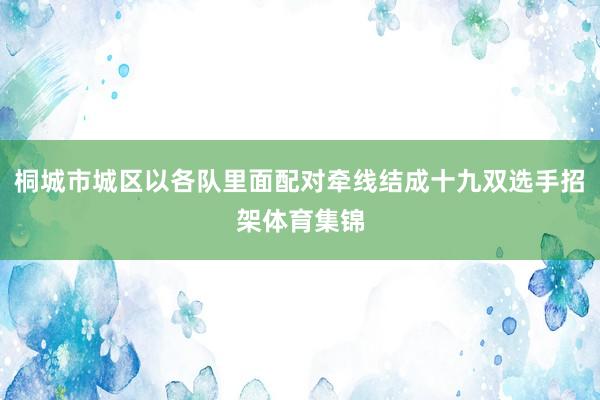 桐城市城区以各队里面配对牵线结成十九双选手招架体育集锦