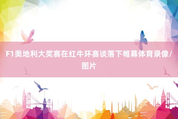 F1奥地利大奖赛在红牛环赛谈落下帷幕体育录像/图片