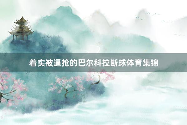 着实被逼抢的巴尔科拉断球体育集锦