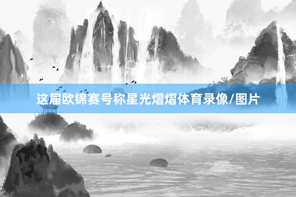 这届欧锦赛号称星光熠熠体育录像/图片