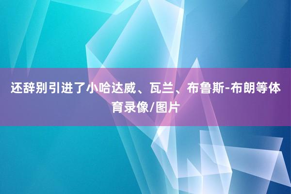 还辞别引进了小哈达威、瓦兰、布鲁斯-布朗等体育录像/图片