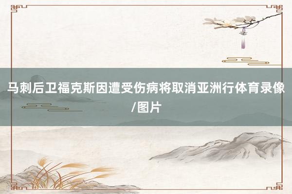 马刺后卫福克斯因遭受伤病将取消亚洲行体育录像/图片