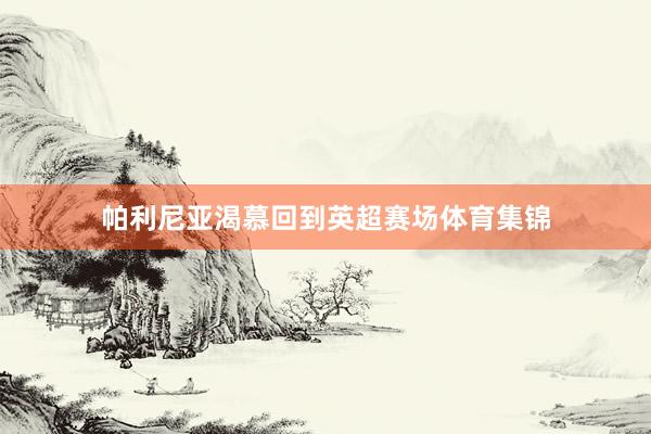 帕利尼亚渴慕回到英超赛场体育集锦