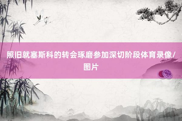 照旧就塞斯科的转会琢磨参加深切阶段体育录像/图片