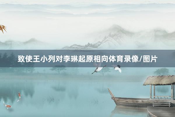 致使王小列对李琳起原相向体育录像/图片