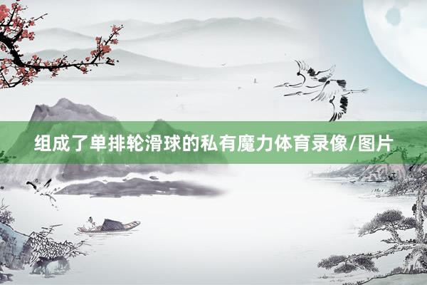 组成了单排轮滑球的私有魔力体育录像/图片