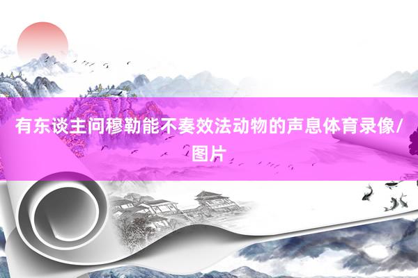 有东谈主问穆勒能不奏效法动物的声息体育录像/图片