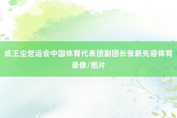 成王尘世运会中国体育代表团副团长张新先容体育录像/图片