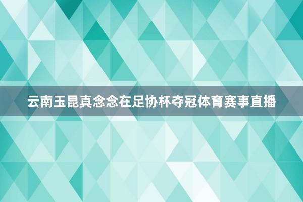 云南玉昆真念念在足协杯夺冠体育赛事直播
